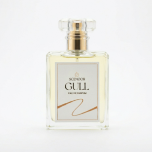 gull
